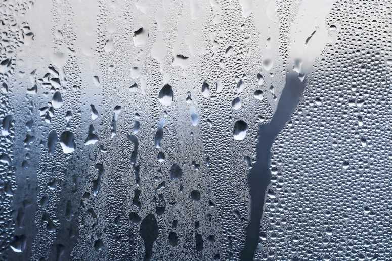 Condensation_775__775_